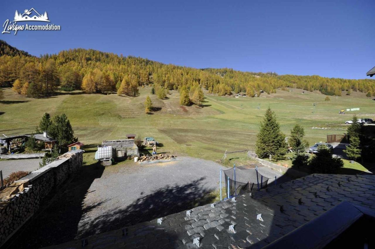 Casa Florin Giumel By Livigno Accomodation Dış mekan fotoğraf